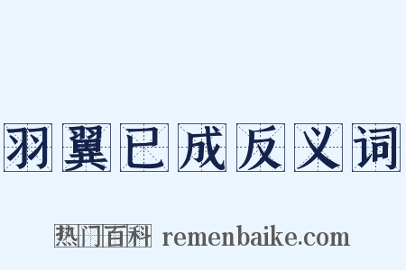 羽翼已成反义词是什么意思的图片